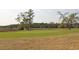 Manicured golf course with a flag on the green, surrounded by natural landscaping at 2416 Kings Gate Ln # 403, Mount Pleasant, SC 29466