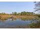 Scenic marsh view featuring a wooden dock extending into the water and a lush, grassy landscape at 2416 Kings Gate Ln # 403, Mount Pleasant, SC 29466
