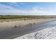 Aerial view of a beach featuring horseback riding, with a lush green backdrop at 2837 Baywood Dr, Seabrook Island, SC 29455