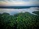 Aerial shot featuring the Delinger's Point community, surrounded by lush forests and serene waterfront views at 3846 Delinger Dr, Mount Pleasant, SC 29466