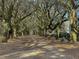 A scenic drive with mature trees lining the road creates a welcoming entrance at 60 Fenwick Hall Allee # 314, Johns Island, SC 29455