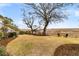 Spacious backyard with mature trees and lovely views of the marsh and waterway at 12 Trachelle Ln, Charleston, SC 29407