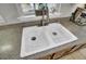 Bright double-basin kitchen sink with stainless steel faucet under a sunlit window at 126 Moon Shadow Ln, Summerville, SC 29485