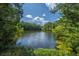 A calm lake surrounded by lush greenery, framed by trees, creating a serene natural view at 1300 Park West Blvd # 418, Mount Pleasant, SC 29466