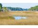 Picturesque marsh view showcasing a serene landscape with golden grasses and a distant treeline at 1717 Vireo Ct, Johns Island, SC 29455