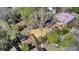 An aerial view of the houses in the neighborhood with mature trees and a lawn at 214 E Doty Ave, Summerville, SC 29483