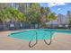 Community pool surrounded by palm trees and lush greenery with ladders for easy access at 234 Darcy Ave, Goose Creek, SC 29445