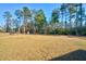 Expansive backyard featuring a lawn and a backdrop of mature trees at 573 Yellow Leaf Ln, Summerville, SC 29486