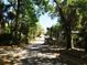 Scenic street view lined with mature trees and lush greenery at 601 Magnolia Ln, Edisto Island, SC 29438