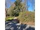 A shaded pathway in a yard with a mix of lush greenery and trees with flowering shrubs at 8 Townpark Ln # B, Charleston, SC 29412