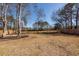 Expansive backyard with a brick-lined border, offering a serene and private outdoor space at 8745 Alexandria Dr, North Charleston, SC 29420