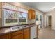 Kitchen featuring wooden cabinets, a double-basin sink and a view of the backyard at 100 Traders Station Rd, Summerville, SC 29486