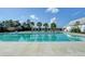 Large community pool surrounded by palm trees, offering a resort-style experience for residents at 139 Ancestry Ln, Moncks Corner, SC 29461