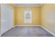 Sunlit bedroom with a neutral carpet, large window, and ample closet space at 1677 French Santee Rd, Jamestown, SC 29453