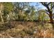 Picturesque wetland area bordered by mature trees, enhancing the natural beauty surrounding the charming home at 669 Palisades Dr, Mount Pleasant, SC 29464