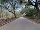 A road through the community lined with mature trees and lush landscaping at 905 Battery Way, Mount Pleasant, SC 29464