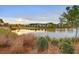 Picturesque pond surrounded by lush landscaping and neighborhood in the background at 201 Symphony Ave, Summerville, SC 29486