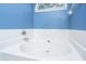 Bathroom featuring bathtub with white tile surround and blue walls at 211 Trestlewood Dr, Summerville, SC 29486