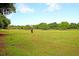 Pasture with horses on a green field surrounded by trees at 2774 Hidden Oak Dr, Seabrook Island, SC 29455