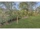 Relaxing backyard featuring a hammock and lush landscaping for ultimate relaxation and privacy at 3405 Painswick Rd, Johns Island, SC 29455
