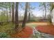 Backyard is beautifully landscaped with grass, pine straw and a stepping stone pathway at 109 Nelson Ct, Summerville, SC 29485