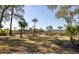 Beautiful backyard with expansive lawn leading to dock surrounded by marshland at 1464 Dupree Creek Rd, Awendaw, SC 29429