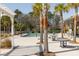 Resort-style pool area with palm trees, pergolas, tables and lounge chairs for relaxing and socializing at 1516 Oldenburg Dr, Mount Pleasant, SC 29466
