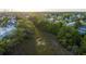 Aerial view displays a neighborhood featuring lush greenery, offering a scenic and serene environment at 1543 Wando Landing St, Charleston, SC 29492