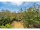Scenic view of the yard and neighborhood from above, showcasing the lush greenery and tranquil setting at 1543 Wando Landing St, Charleston, SC 29492