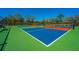 Brightly colored outdoor pickleball courts with green, blue, and red surfaces and net visible at 1543 Wando Landing St, Charleston, SC 29492