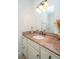 Classic bathroom featuring a vanity with a stone countertop and decorative mirror at 1543 Wando Landing St, Charleston, SC 29492