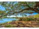 Serene lake view with a bench under a sprawling tree, surrounded by lush greenery and colorful flowers at 1543 Wando Landing St, Charleston, SC 29492