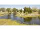 Picturesque pond surrounded by lush greenery and mature trees, perfect for enjoying nature at 16 Baldwin Ln, Green Pond, SC 29446