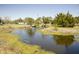 Scenic view of a tranquil pond surrounded by lush greenery and mature trees at 16 Baldwin Ln, Green Pond, SC 29446