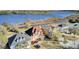 Stunning aerial view of waterfront homes with beautifully landscaped yards along a serene river at 1739 Indigo Island Dr, Hanahan, SC 29410