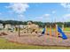 Well-equipped community playground area featuring climbing, swinging and sliding at 202 N Light Way, Summerville, SC 29486