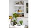 Close-up of shelving displays decorative accents and plants in a bright, modern living room at 221 Waning Way, Charleston, SC 29492