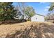 Large backyard with grass, a wood fence, and shade trees at 2461 Fulford Ct, Mount Pleasant, SC 29466
