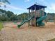 Community playground with a slide, climbing area, swings, and a wood chip safety surface at 316 Knawl Road, Moncks Corner, SC 29461
