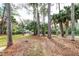 Scenic backyard with a red chair, lush green lawn, trees, and a serene waterfront view at 482 Sea Cloud Cir, Edisto Island, SC 29438