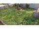 Expansive, tree-shaded backyard providing ample space for outdoor enjoyment and recreation at 502 W Ashley Ave, Folly Beach, SC 29439