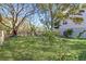 Spacious backyard shaded by mature trees, offering a serene and private outdoor retreat at 502 W Ashley Ave, Folly Beach, SC 29439