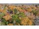An expansive aerial shot capturing a neighborhood enveloped in vibrant fall foliage at 635 Fair Spring Dr, Charleston, SC 29414