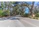 Scenic street view showcasing the lush greenery and mature trees lining the neighborhood at 635 Fair Spring Dr, Charleston, SC 29414