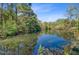 Pond at the edge of the property lined with native trees and undergrowth at 744 Gate Post Dr, Mount Pleasant, SC 29464
