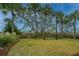 Expansive backyard with lush lawn, mature palm trees, and a wooden fence at 944 Hammocks Way, Edisto Island, SC 29438