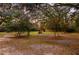 Large yard with a striking outdoor fireplace, surrounded by mature trees at 104 Gervais St, Walterboro, SC 29488