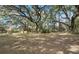 Expansive backyard with mature trees, perfect for outdoor activities and enjoying the tranquility of nature at 104 Gervais St, Walterboro, SC 29488
