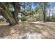 Backyard with trees, greenery, and a glimpse of the house at 104 Gervais St, Walterboro, SC 29488