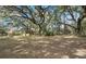 Expansive backyard with mature trees, offering a peaceful and private outdoor retreat at 104 Gervais St, Walterboro, SC 29488